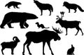 Arctic North Land Animals Set Royalty Free Stock Photo