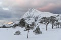 Arctic Norway in Winter