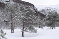 Arctic Norway in Winter