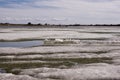 Arctic Ocean ice flows and ice crystals