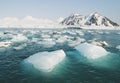 Arctic Ocean - ice in the sea