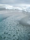 Arctic Ocean - ice on the sea surface Royalty Free Stock Photo