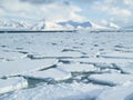 Arctic Ocean - pack ice on the sea surface Royalty Free Stock Photo