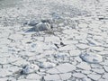 Arctic Ocean - pack ice on the sea surface Royalty Free Stock Photo