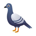 Arctic pigeon bird cartoon character . Vector