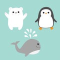 Arctic polar animal icon set. White bear, penguin bird, whale. Kids education cards. Cute cartoon character. Blue background Isola Royalty Free Stock Photo