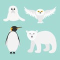 Arctic polar animal set. White bear, owl, king penguin Emperor Aptenodytes Patagonicus, Seal pup baby harp. Kids education cards.