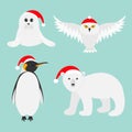 Arctic polar animal set. White bear, owl, king penguin Emperor Aptenodytes Patagonicus, Seal pup baby harp in red Santa hat.