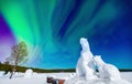 Arctic polar bears against background of aurora borealis and night starry sky. Concept Northern Lights travel banner