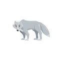 Arctic polar wolf. Cartoon flat style illustration of polar and arctic animal. Vector illustration for kids, education. Royalty Free Stock Photo