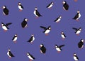 Arctic Puffins seamless pattern