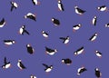 Arctic Puffins seamless pattern