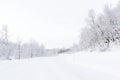 Arctic road with snowcovered forest