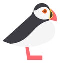 Arctic seabird. Sea parrot icon. Atlantic puffin bird