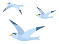 Group of Wild Flying Bird Seagull Card Vector Royalty Free Stock Photo