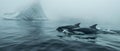 Arctic Serenity: Belugas Glide Past Ice Giants. Concept wildlife photography, arctic animals, ocean