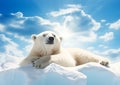 Arctic Serenity: A Polar Bear\'s Relaxing Day in the Snow