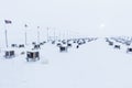 Arctic sled dogs during winter time, snow storm, Longyearbyen, Spitsbergen, Svalbard, Norway. Snowy blizzard. The Greenland Dog