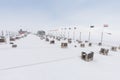 Arctic sled dogs during winter time, snow storm, Longyearbyen, Spitsbergen, Svalbard, Norway. Snowy blizzard. The Greenland Dog