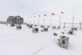 Arctic sled dogs during winter time, snow storm, Longyearbyen, Spitsbergen, Svalbard, Norway. Snowy blizzard. The Greenland Dog