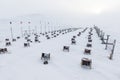 Arctic sled dogs during winter time, snow storm, Longyearbyen, Spitsbergen, Svalbard, Norway. Snowy blizzard. The Greenland Dog