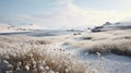 Arctic Snow Meadow: Unreal Engine 5 4k Render With Lively Coastal Landscapes