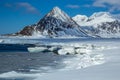 Arctic spring in south Spitsbergen