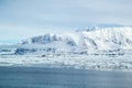 Arctic spring in south Spitsbergen