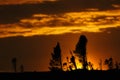 Arctic sunset on the taiga