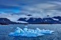 Arctic Svalbard. Land of ice. Travelling in Arctic Norway. White snowy mountain, blue glacier Svalbard, Norway. Iceberg in North Royalty Free Stock Photo