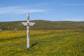 Arctic Tern sitting on totem pole in Grimsey Island Iceland