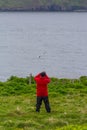 Arctic tern trying to intimidate a tourist photographing too close to the nest area