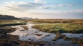 Arctic Tundra Wetland: A Serene Malibu Beach Landscape