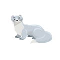 Arctic white ermine. Cartoon flat style illustration of polar and arctic animal. Vector illustration for kids, education.