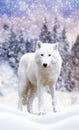 Arctic wolf winter in nature