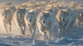 Arctic wolves hunting in snowy tundra cinematic shot inspired by paul nicklen and miki asai Royalty Free Stock Photo