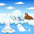 Arctics animals collection set with igloo ice house Royalty Free Stock Photo
