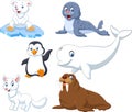 Arctics animals collection set Royalty Free Stock Photo