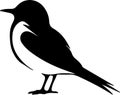 Arctictern Black Silhouette Generative Ai Royalty Free Stock Photo