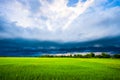 Arcus clouds over the green rice field Royalty Free Stock Photo