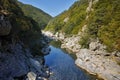 Arda river and Rhodopes mountain near Devil's Bridge, Bulgaria Royalty Free Stock Photo