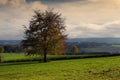 Ardennen landscape