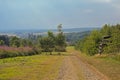 Hills of Ardennes with trees and wildflowers and Basilica of Saint-Hubert