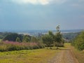 Hills of Ardennes with trees and wildflowers and Basilica of Saint-Hubert