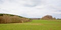 Ardennes landscape with green maedows and layers of bare deciduous and pine trees under a cloudy sky Royalty Free Stock Photo