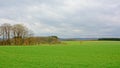 Ardennes landscape, Lush green fields, with trees and forests on a misty cloudy day Royalty Free Stock Photo