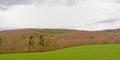 Ardennes landscape with a lush meadow and layers of bare deciduous and pine trees under a cloudy sky Royalty Free Stock Photo