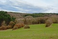 Ardennes landscape, rolling hilsl with pines and deciduous trees under dark clouds Royalty Free Stock Photo