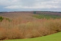 Ardennes landscape with layers of bare deciduous and pine trees under a cloudy sky Royalty Free Stock Photo