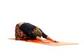 Ardha Kurmasana, a position in Yoga, is also called Half Tortoise Pose